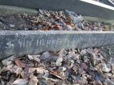 image of grave number 364922